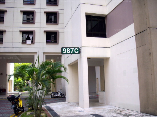 Blk 987C Jurong West Street 93 (Jurong West), HDB 5 Rooms #435432